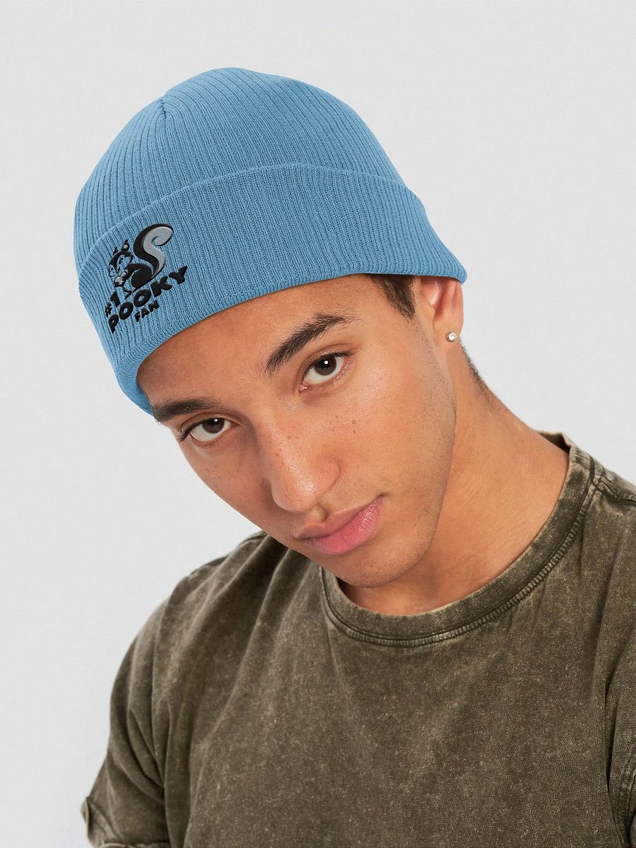 Organic Cotton Embroidered Beanie: #1 Pooky Fan 20s illustration style product image (4)