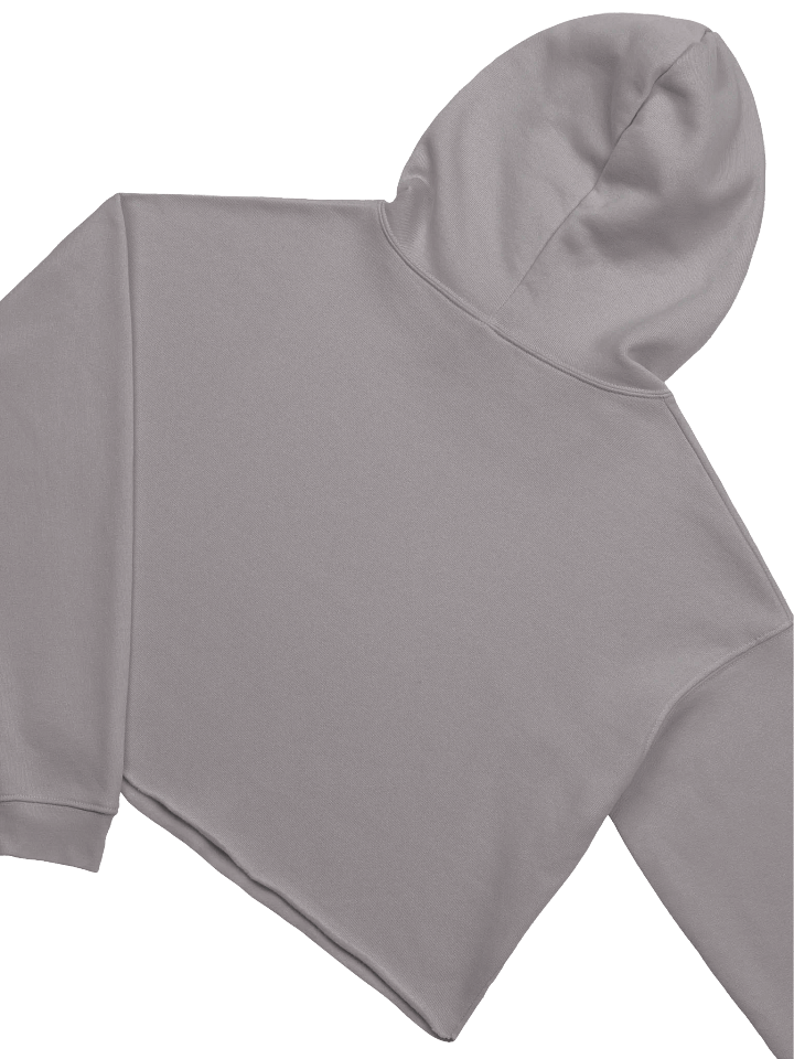 Cozy Corner Cropped Hoodie product image (2)