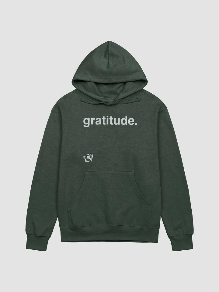 gratitude. hoodie product image (1)