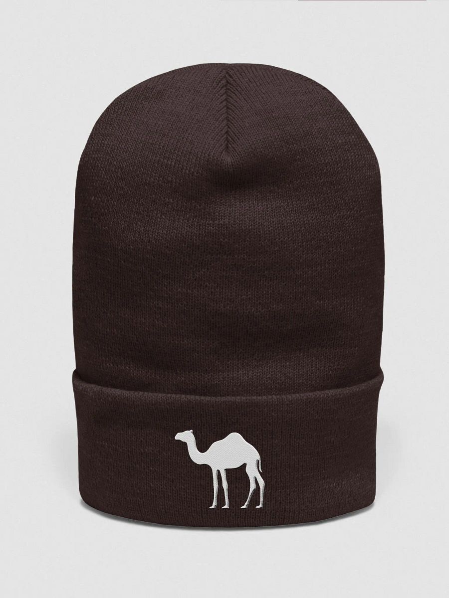 CAMEL Beanie product image (2)