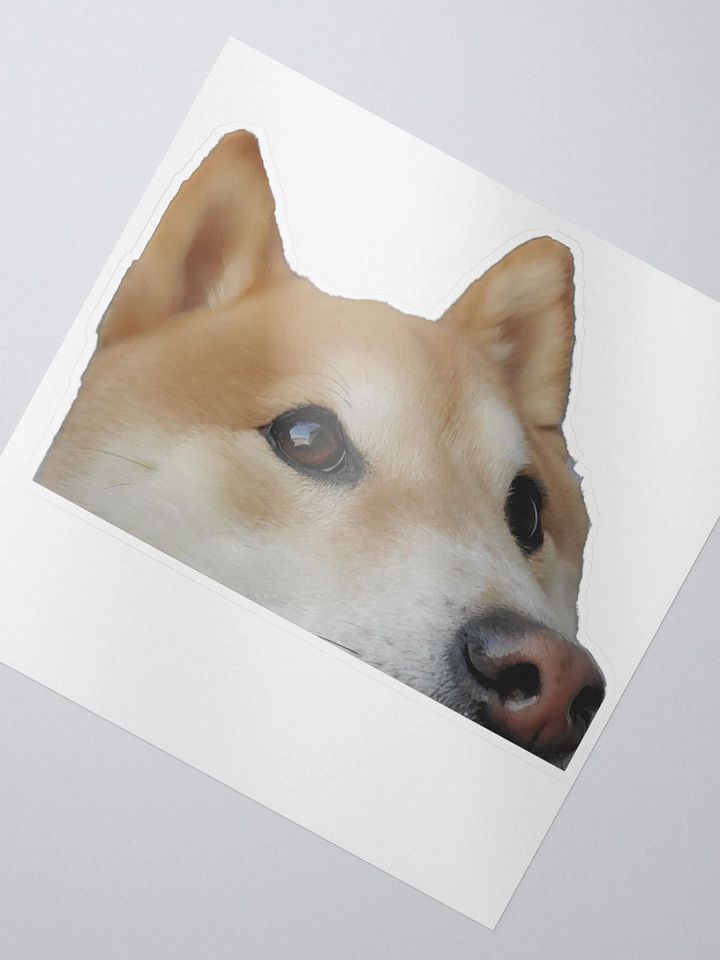 Dandelion Peek (Sticker) product image (2)