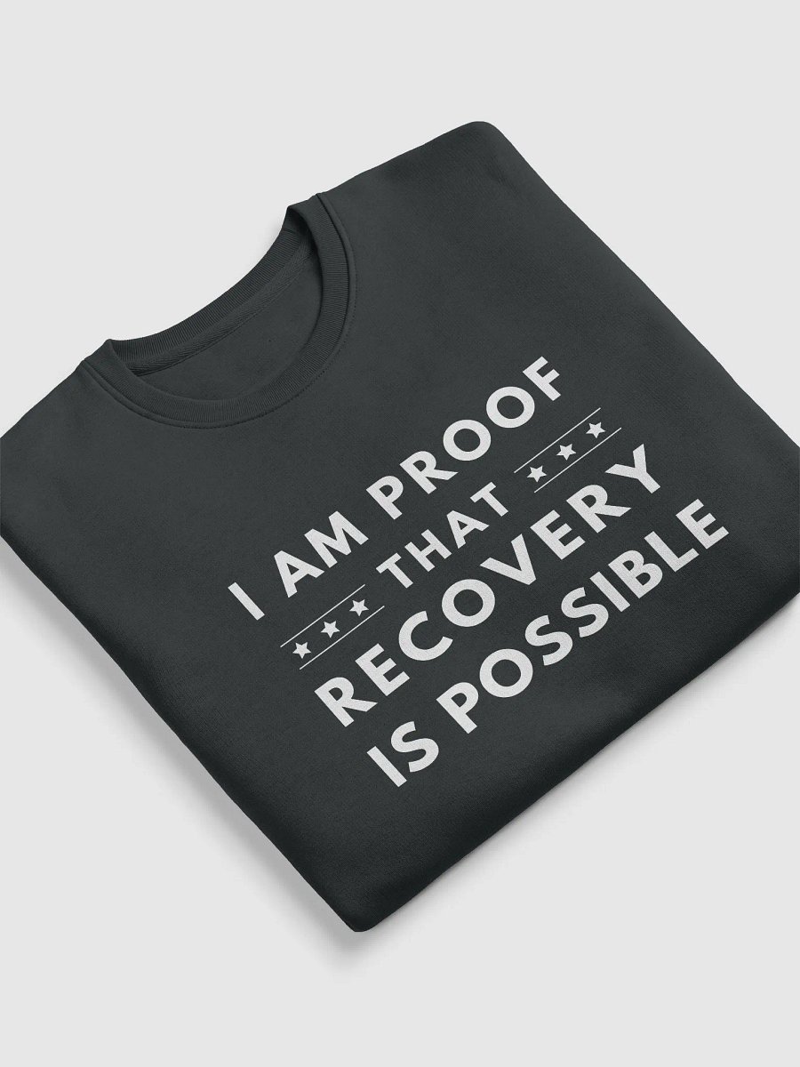 I Am Proof That Recovery Is Possible Sweater product image (13)