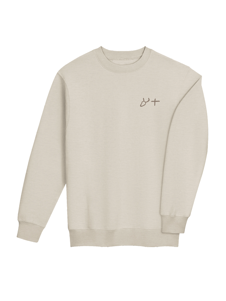 Aleph Tav Crewneck Sweatshirt product image (2)