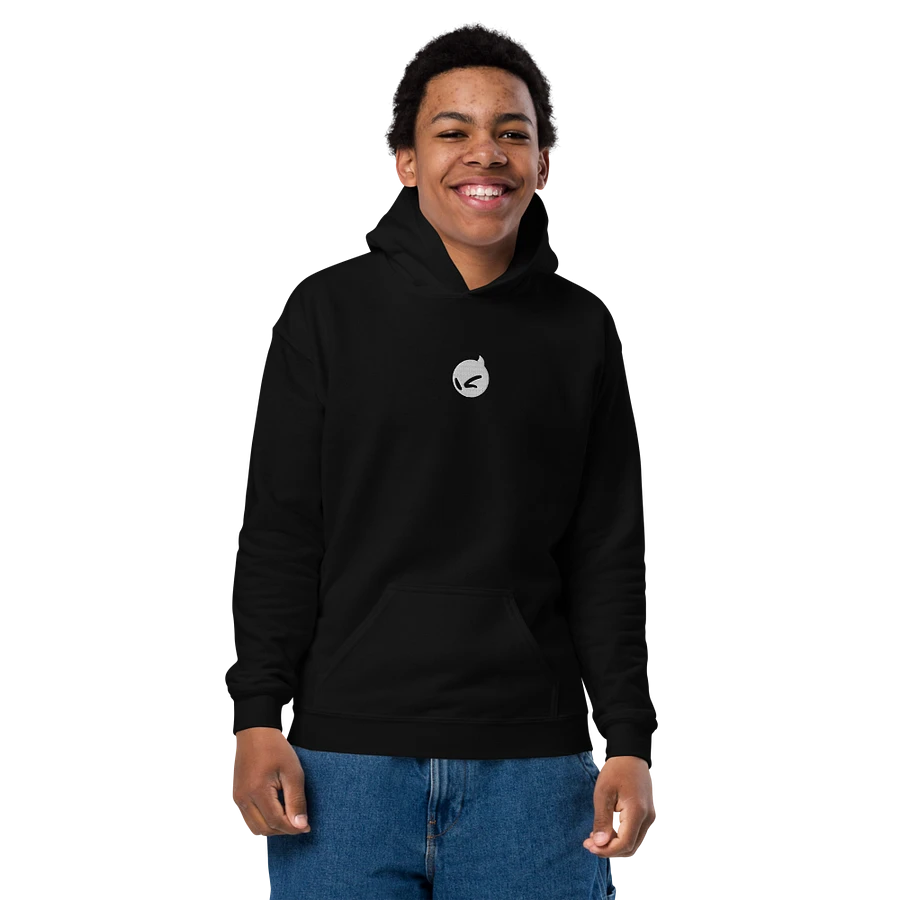 Dignitas Hoodie - Black [Youth] product image (1)