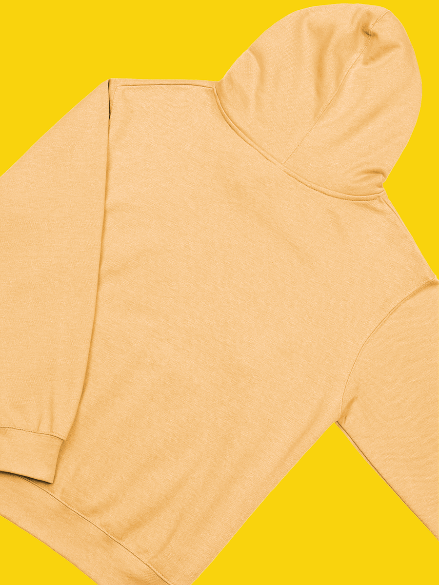 Independent Trading Co. Midweight Hoodie | WIL Style product image (53)