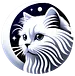 Cat Cognition #catcog