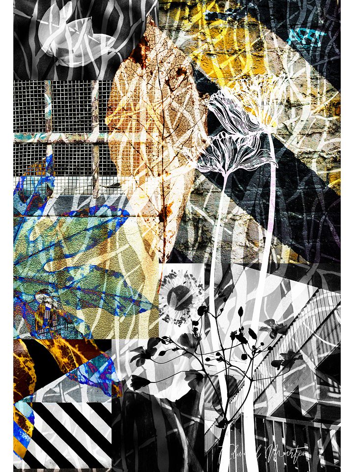 Urban Elements product image (1)