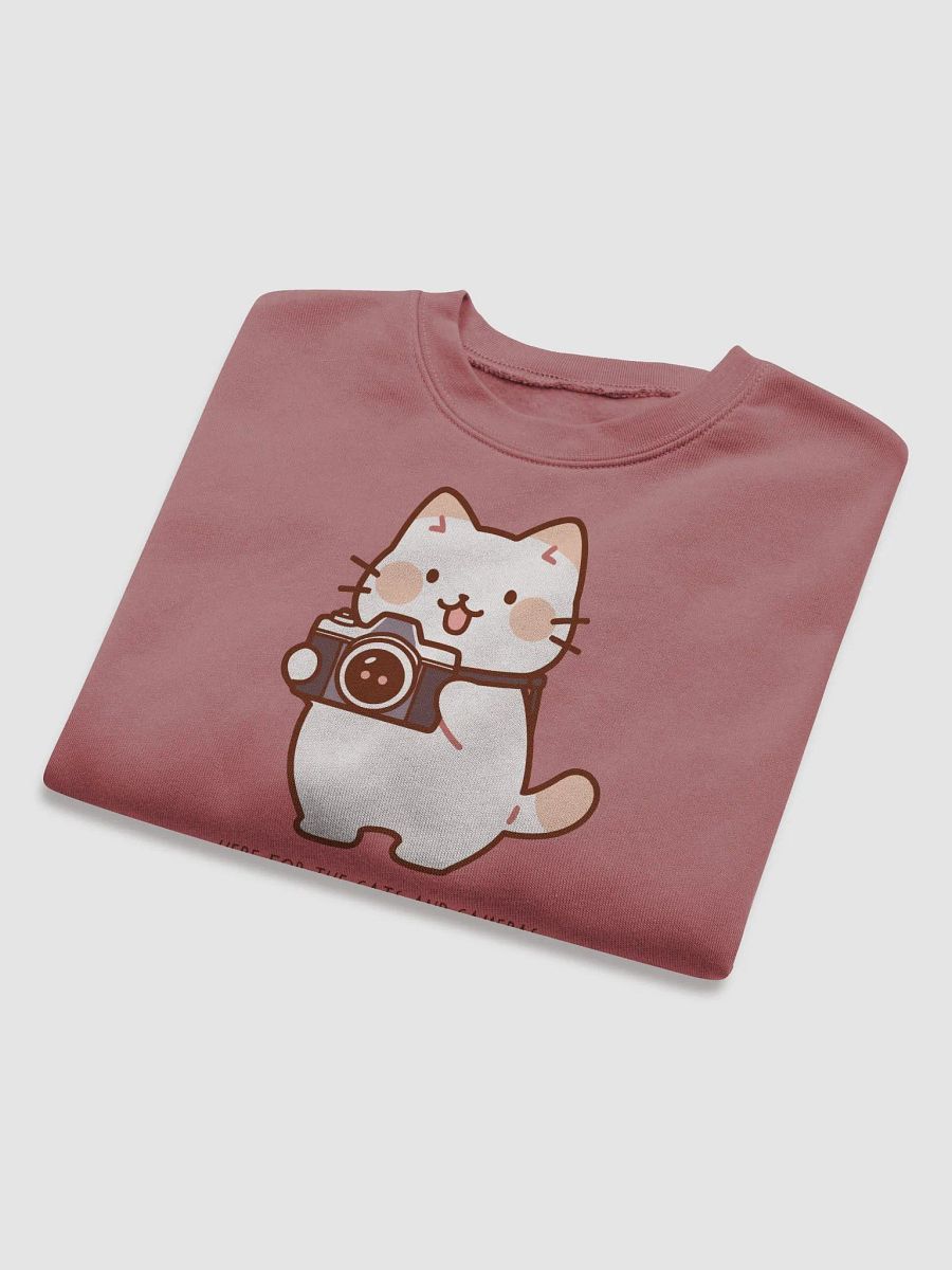 Cats and Cameras Cropped Sweatshirt product image (16)