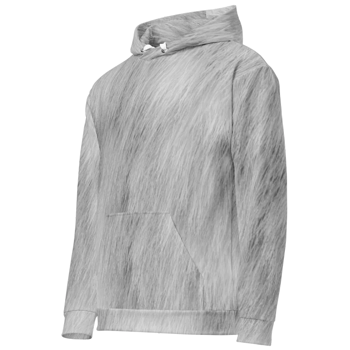 Chinchilla Cat Hoodie (Unisex) product image (2)