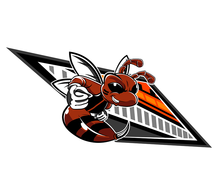 Angry Bee T-Shirt product image (7)