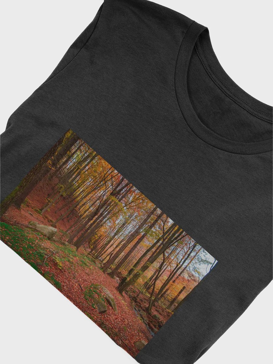 Forest Fall product image (5)