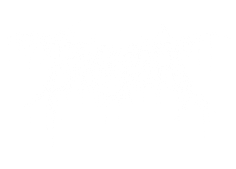 FARSIGHT