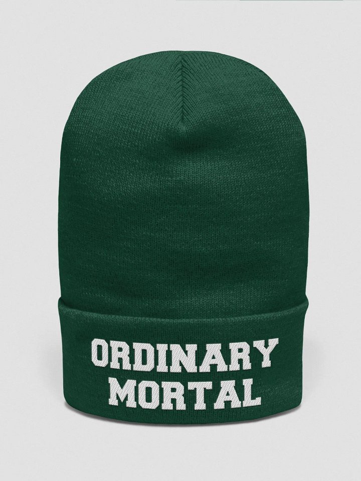 Ordinary Human embroidered beanie product image (2)
