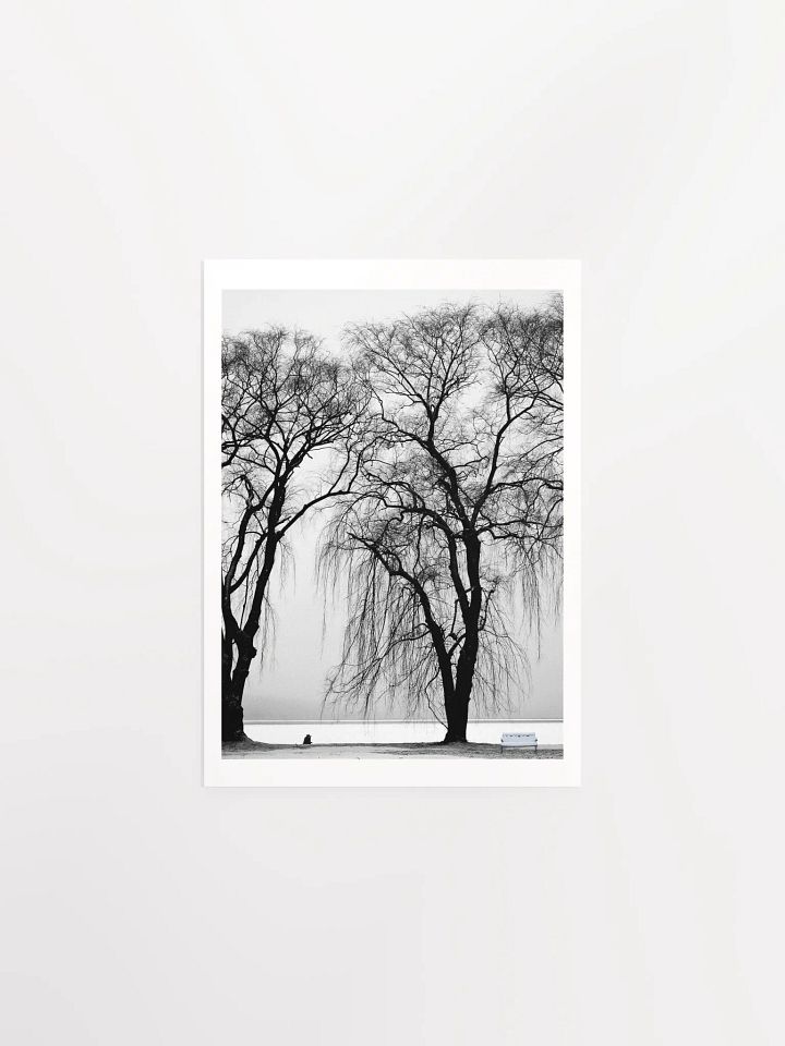 SOLACE IN THE MIST product image (1)