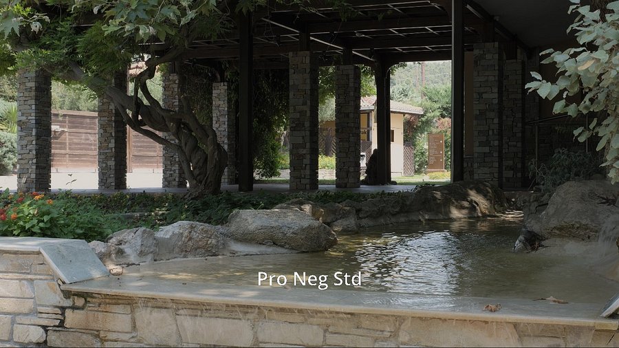 Fujify [F-Log, F-Log2, F-Log2 C] 3D LUTs product image (9)