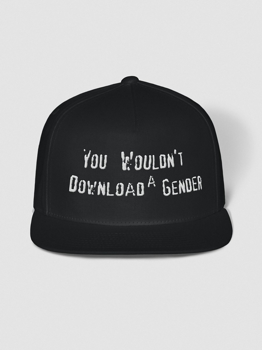You Wouldn’t Download a Gender Cap product image (3)