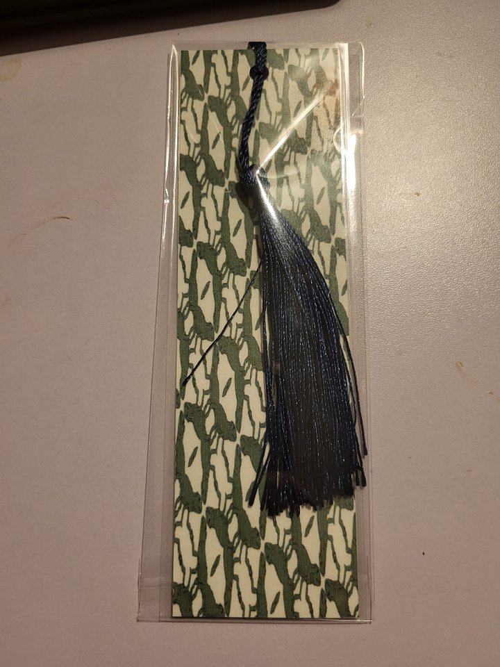 Cute Cartoon Lizard Pattern Laminated Bookmark with Tassel for the Reptile Loving Book Reader in Your Life product image (2)