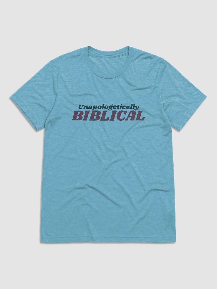 Men's T-Shirt: Unapologetically Biblical (more colors available) product image (1)