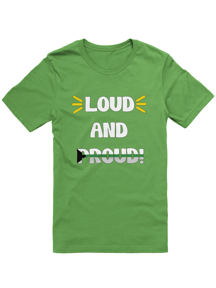 Loud and Proud Demiromantic T-Shirt product image (9)