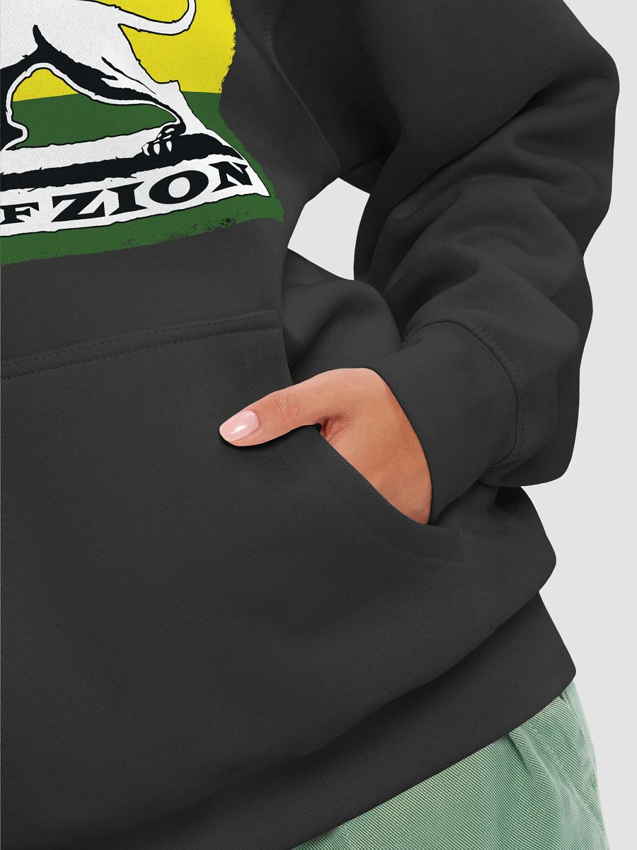 Lion of Zion Premium Hoodie product image (44)