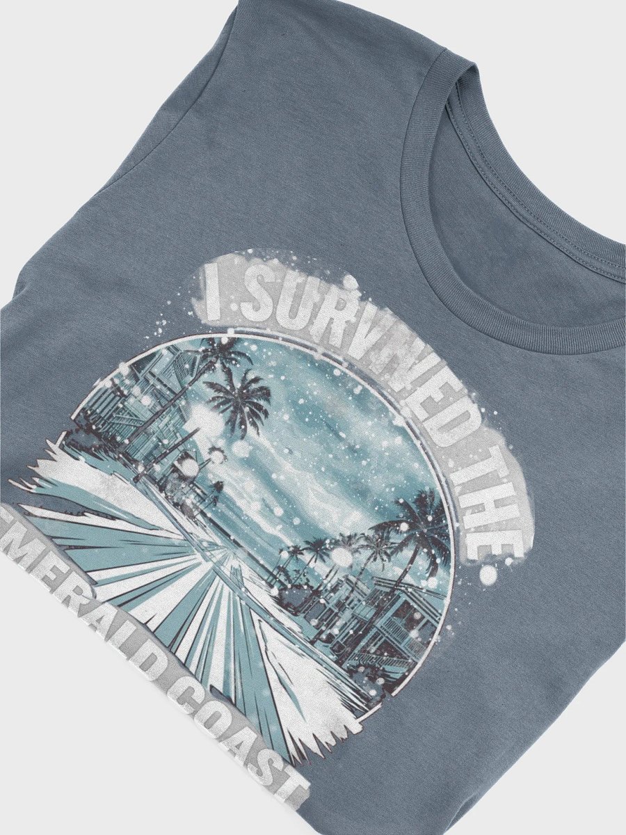 I Survived the Emerald Coast Snowstorm 2025 - Bella Canvas product image (5)