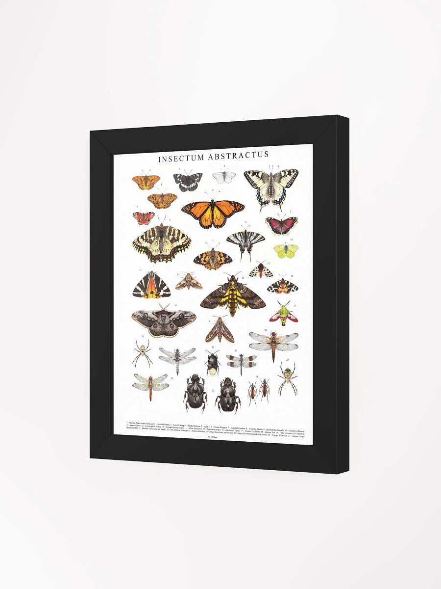 INSECTUM ABSTRACTUS - Framed Print product image (26)