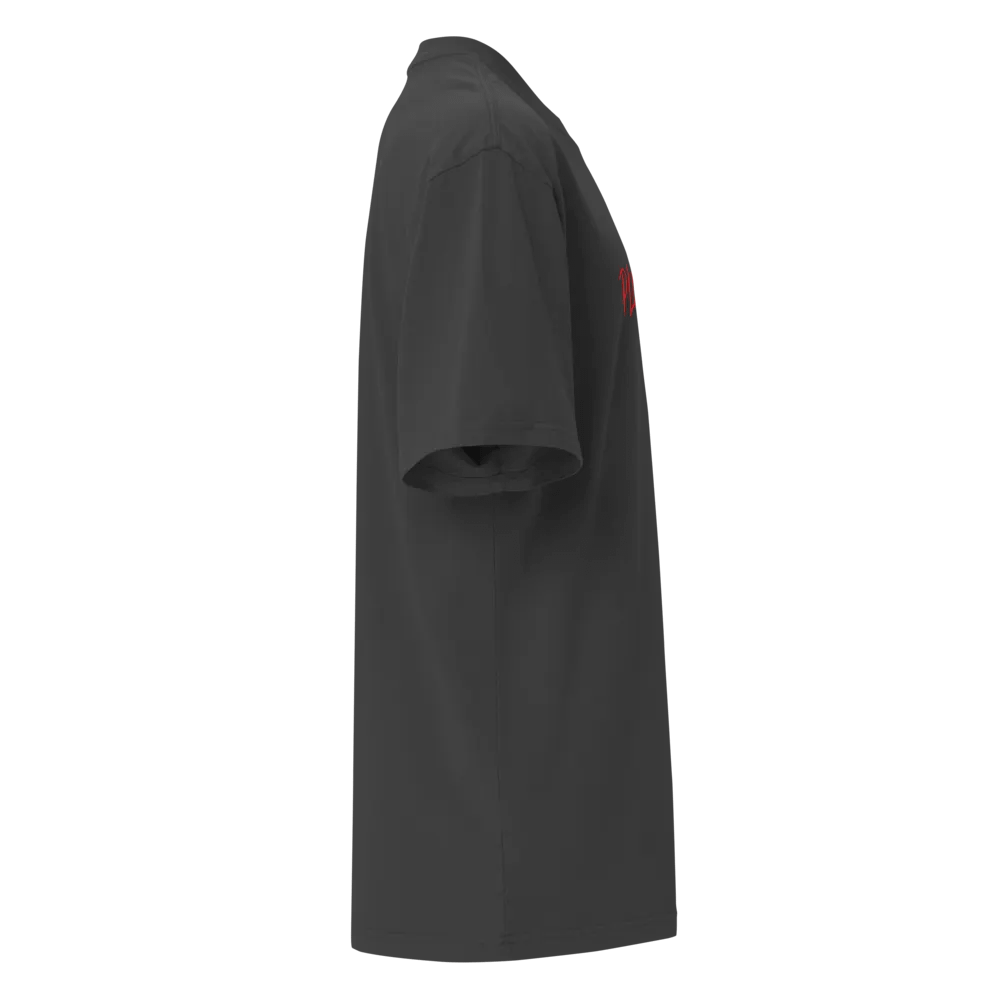 Plot Armor Oversized Basic Tee product image (6)