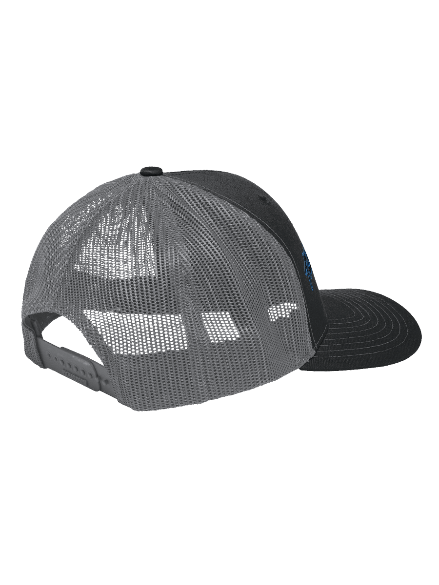 T Shred 2 Tone Embroidered Hat product image (3)