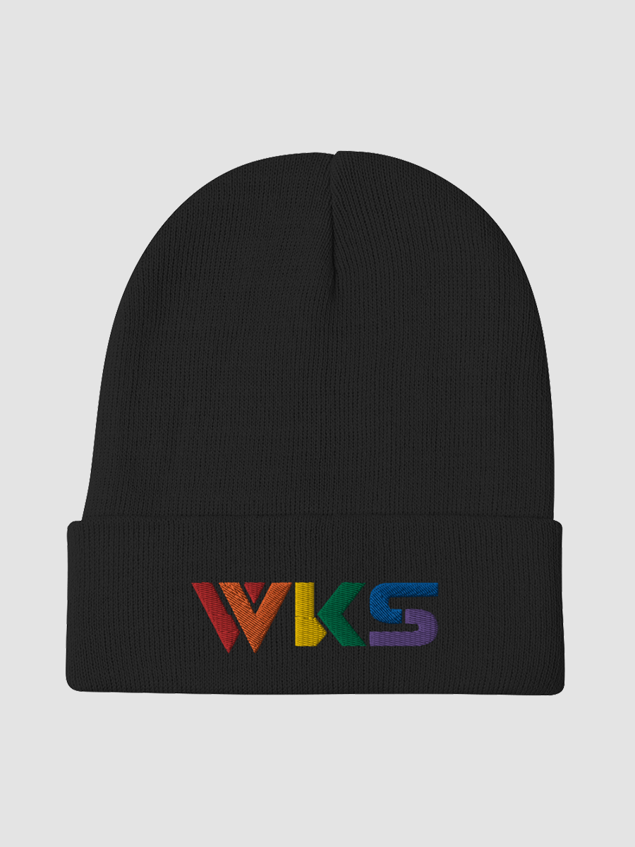 Rainbow Pride Beanie product image (1)