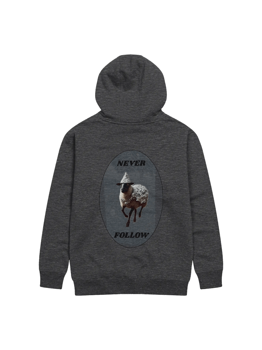 Webs & Shadows Black Sheep Hoodie product image (2)