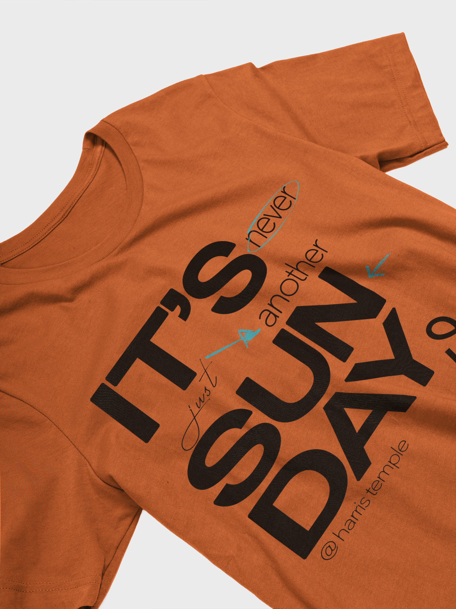 Elevate Your Style with Temple Merch Highlight T-Shirt product image (9)