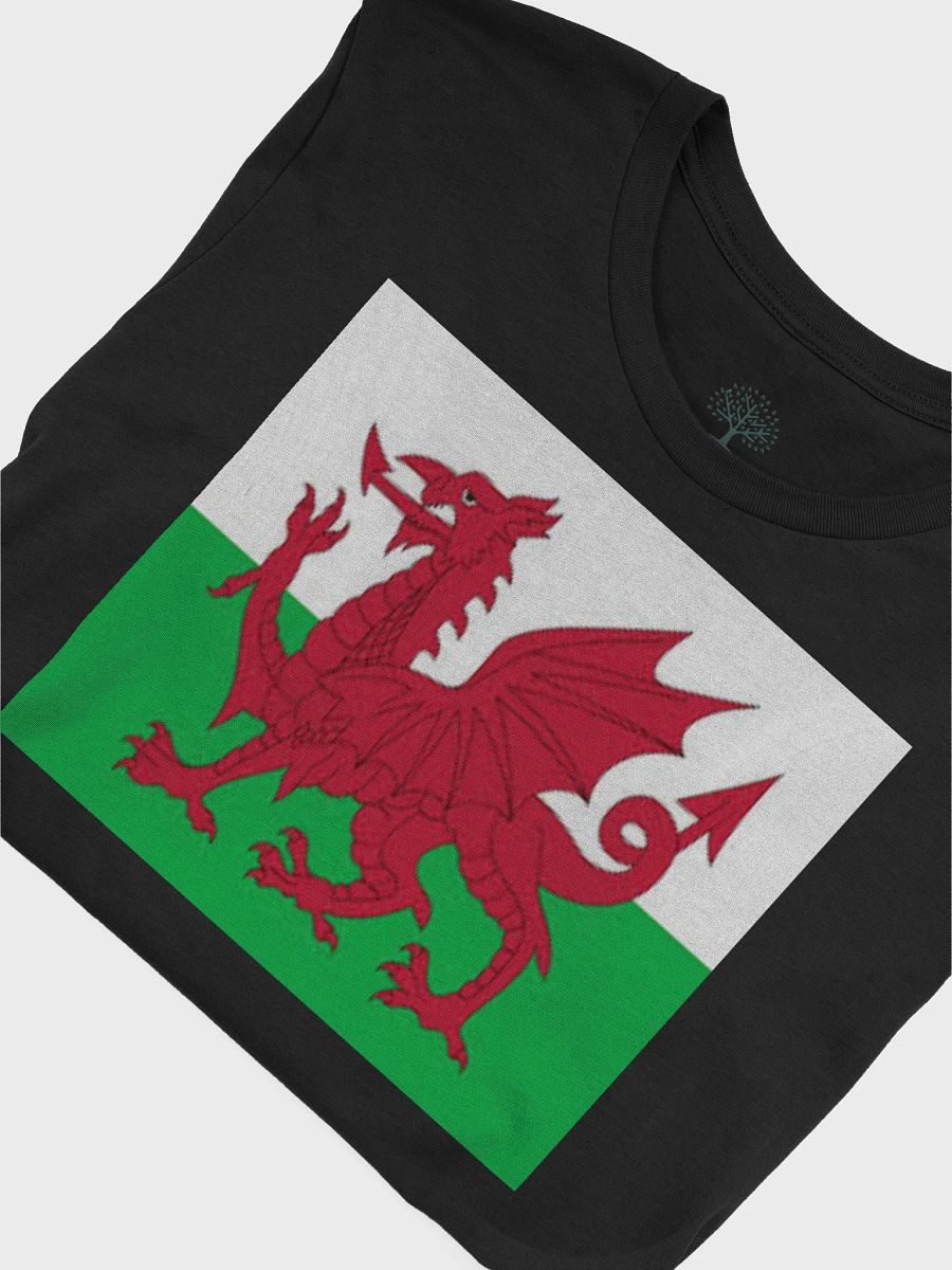 Exclusive Supersoft Unisex Welsh Flag T-Shirt by Graphic Grove product image (7)