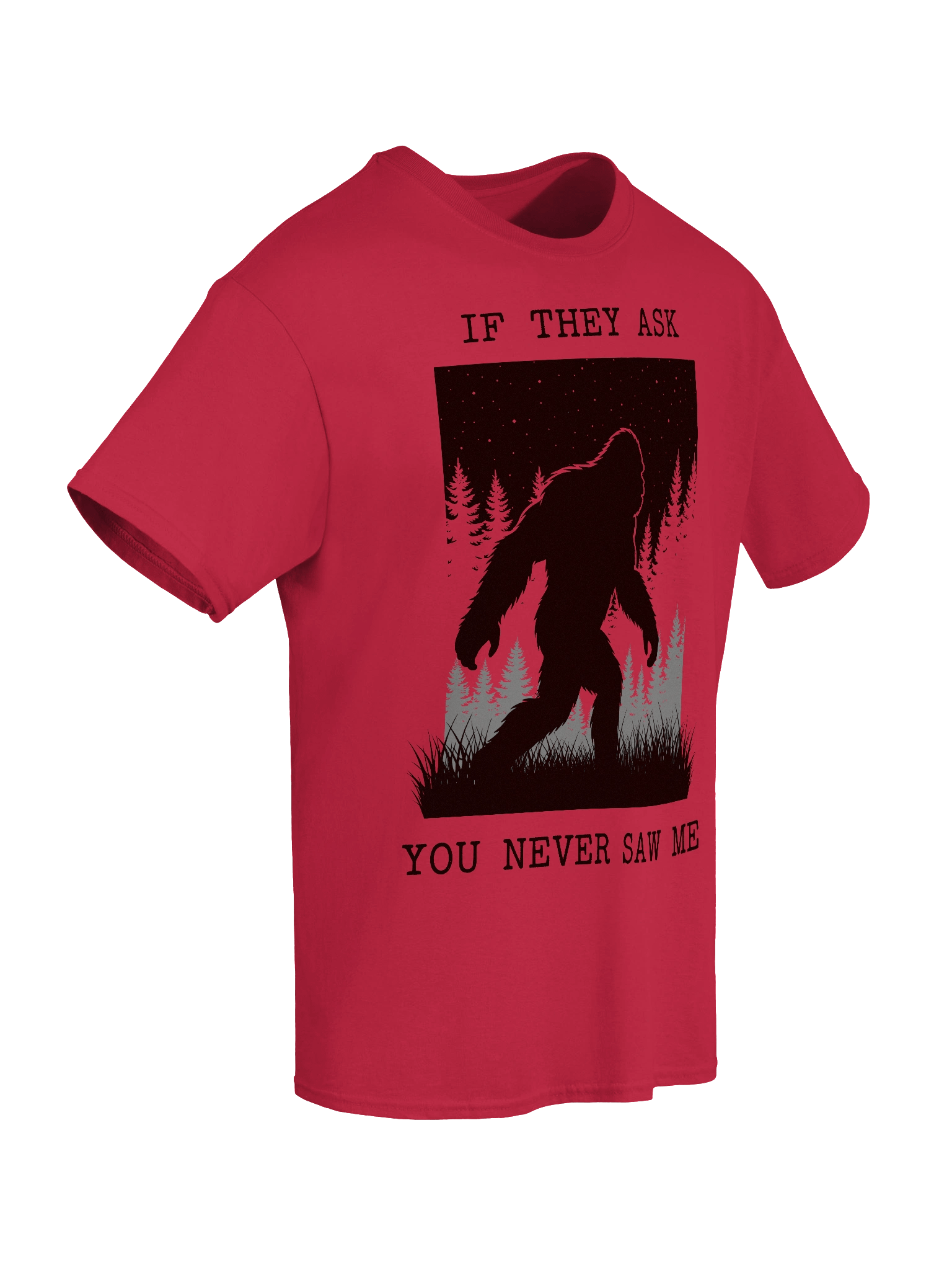 If They Ask You Never Saw Me - Tee product image (14)
