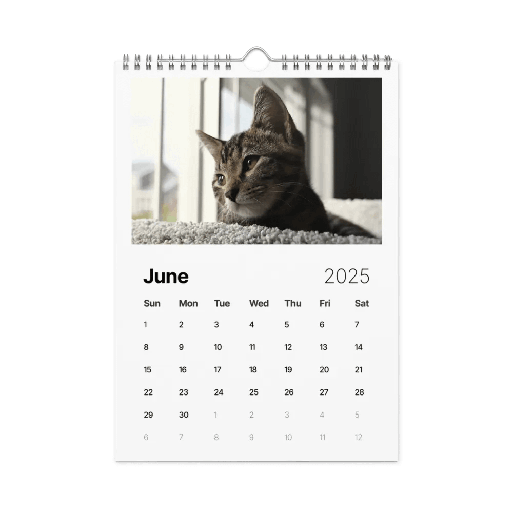Noah and Friends 2025 Calendar product image (8)