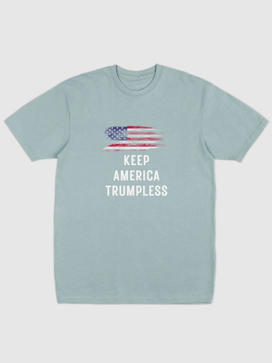 Pris-Keep America Trumpless -Cotton Heritage Men's Premium Heavyweight Tee product image (4)