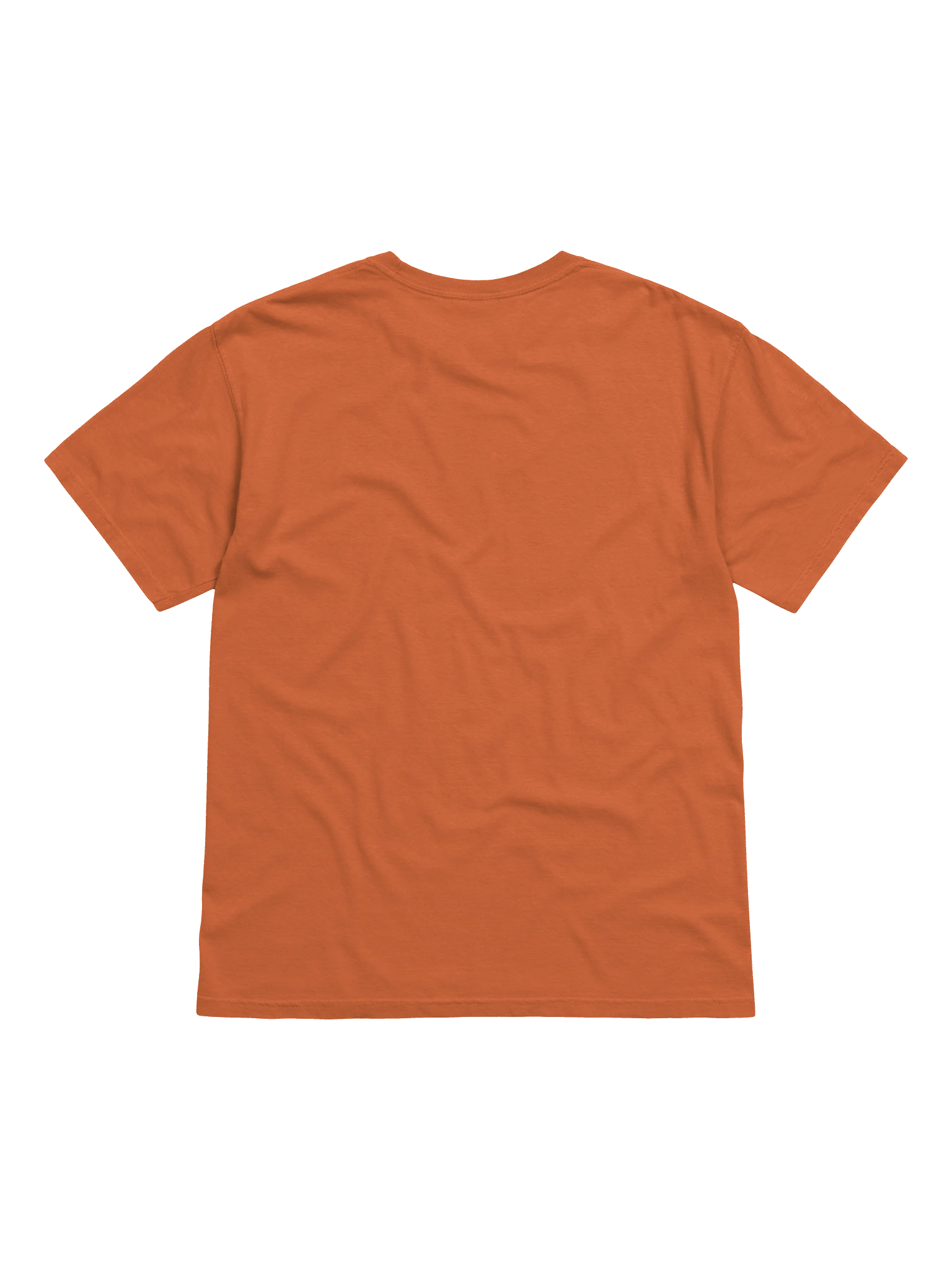 This ain'y my first rodeo tee product image (27)