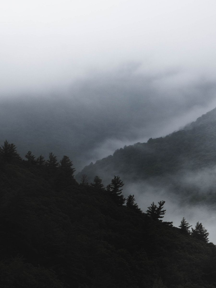 Brain Fog product image (1)