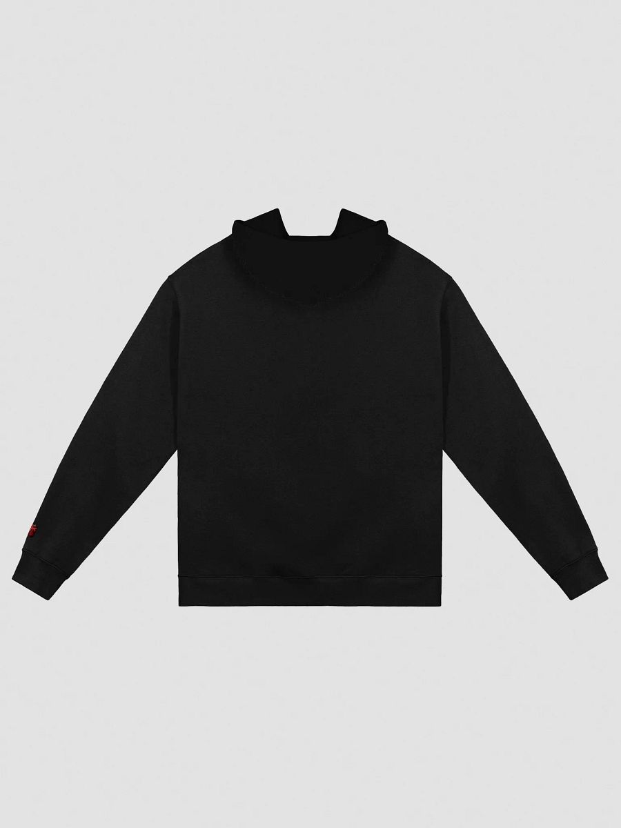 Malys Embroidered Hoodie product image (2)