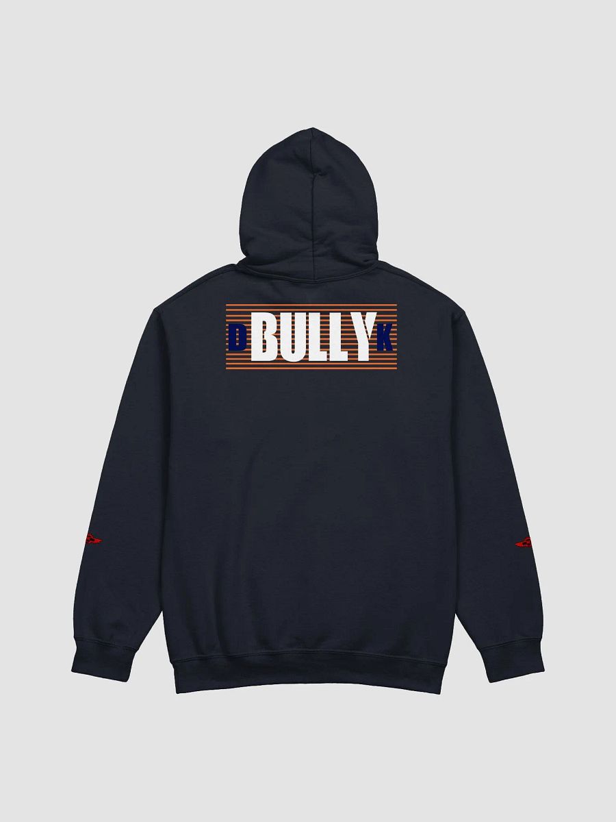 UNDERSTAND FULLY (HOODIE ) LD product image (2)