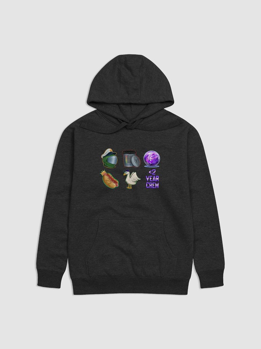 Less Than 2 Year Celebration Hoodie Premium product image (3)