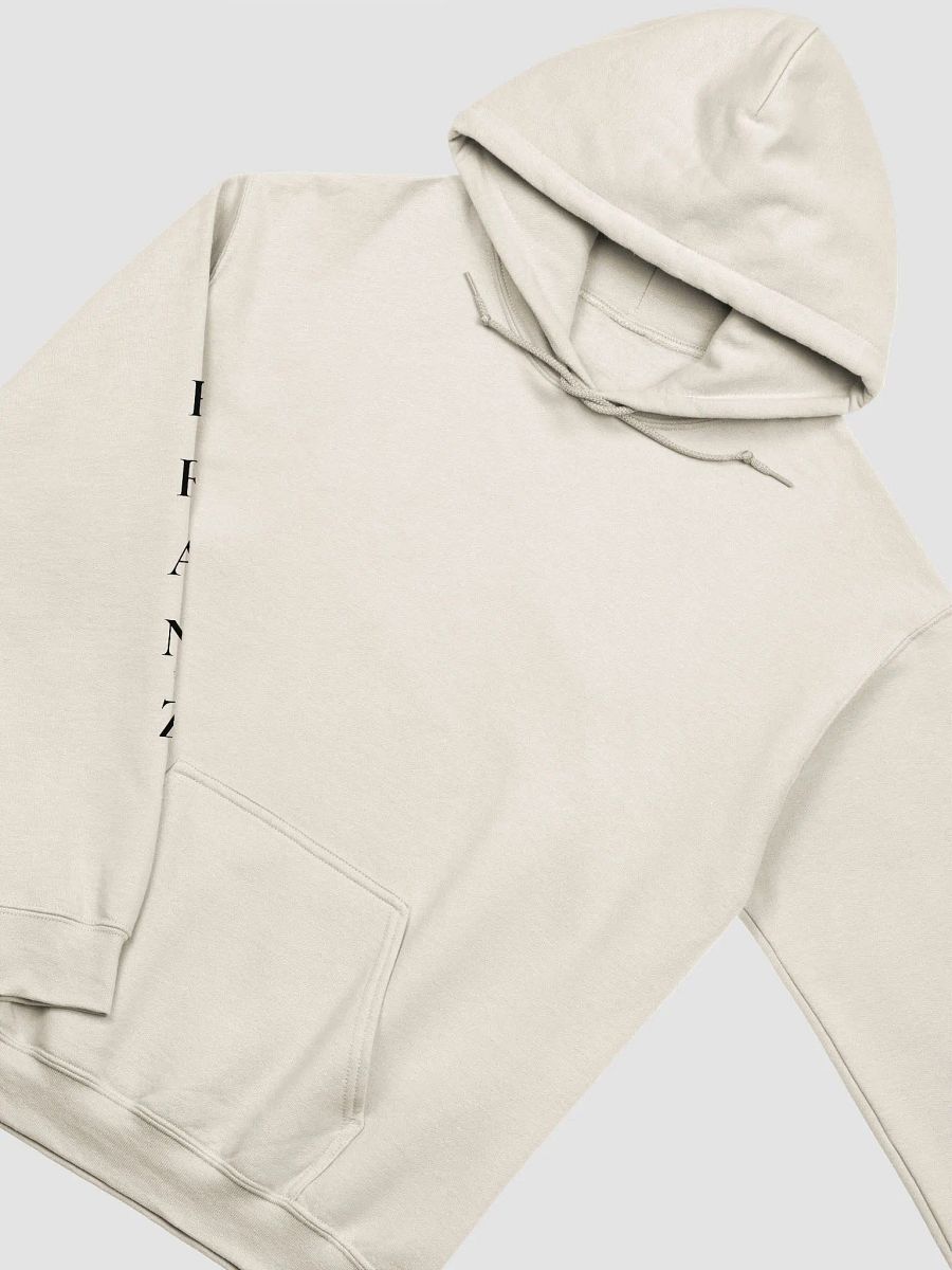 By Believing Passionately Hoodie – Motivational Quote Hoodie for Dreamers and Creators | Cozy & Inspirational product image (4)