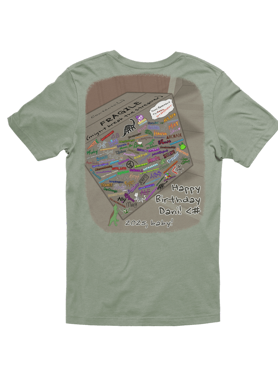 Nice and Normal Party 2025 Supersoft Premium T-Shirt product image (28)