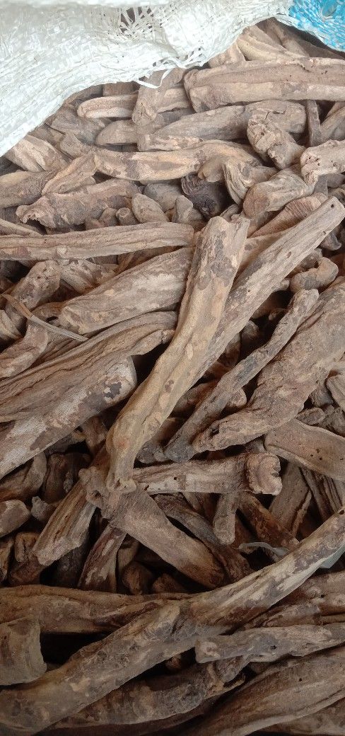Akar Klembak product image (1)