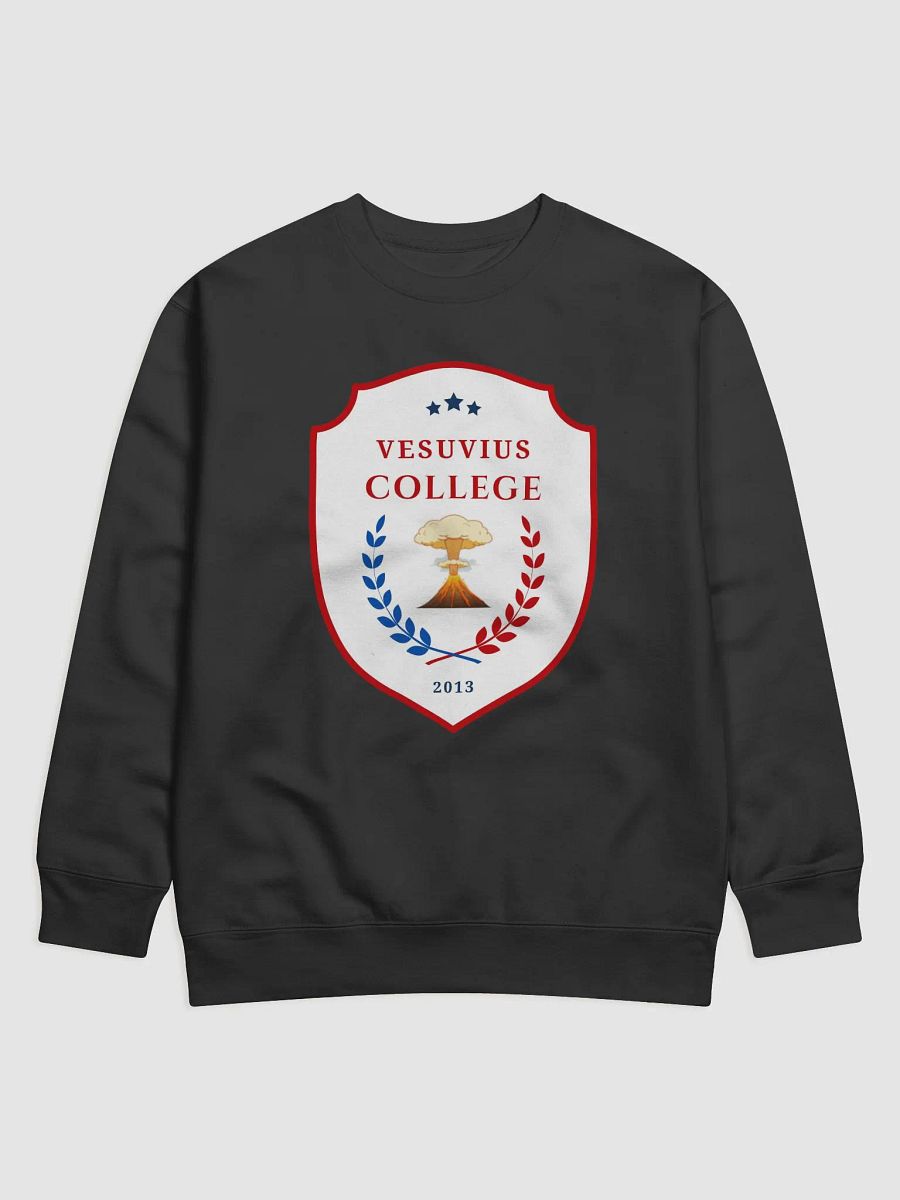 Varsity Crew Neck product image (3)