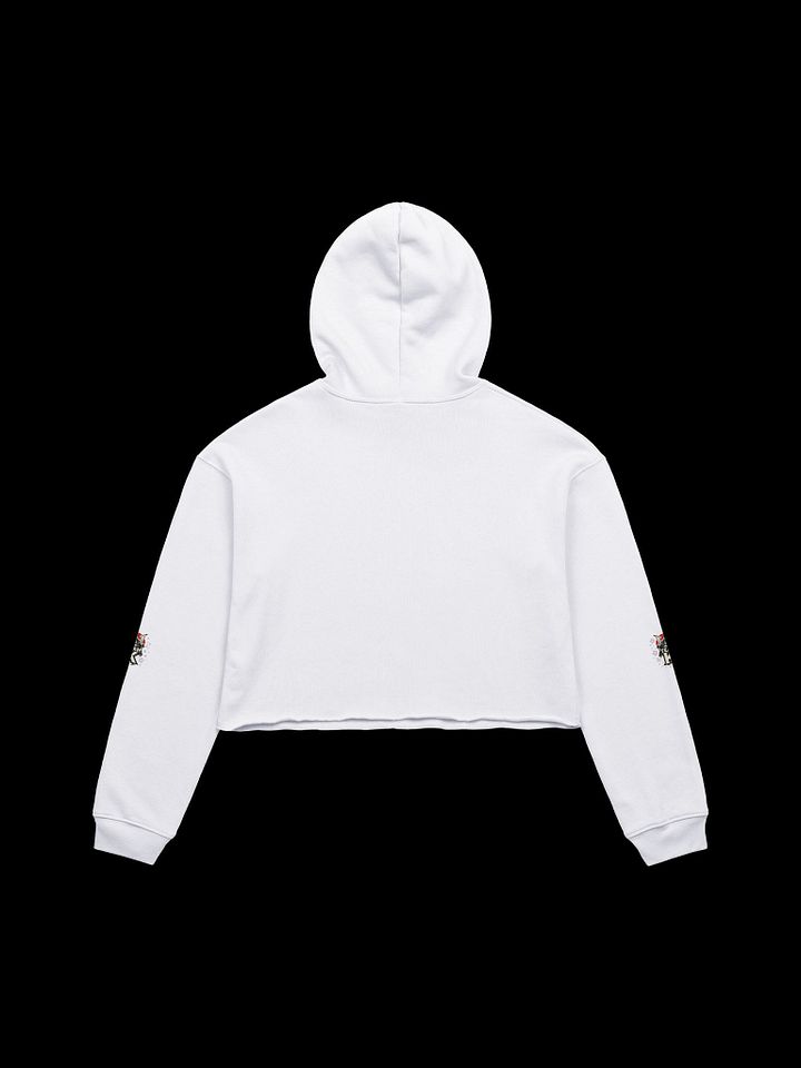 Team K Japan Crop Hoodie product image (16)