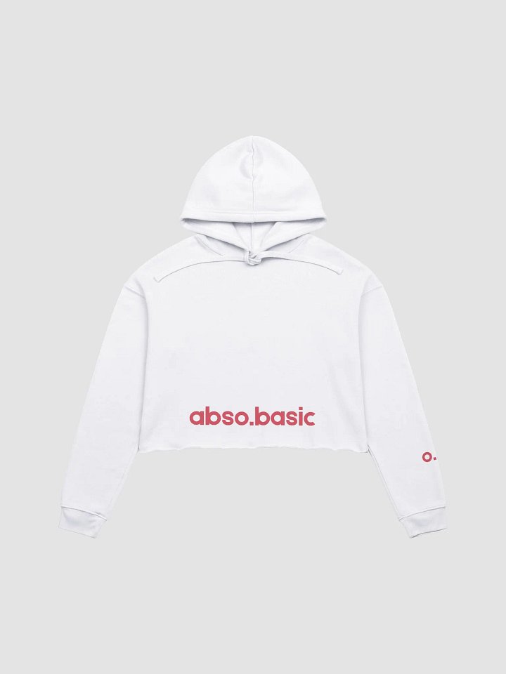 Her Music Vintage Crop Hoodie product image (4)