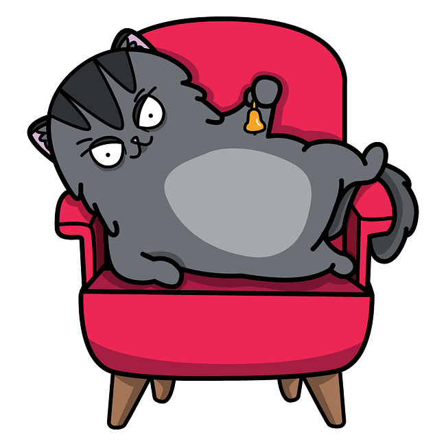 Gato Doméstico