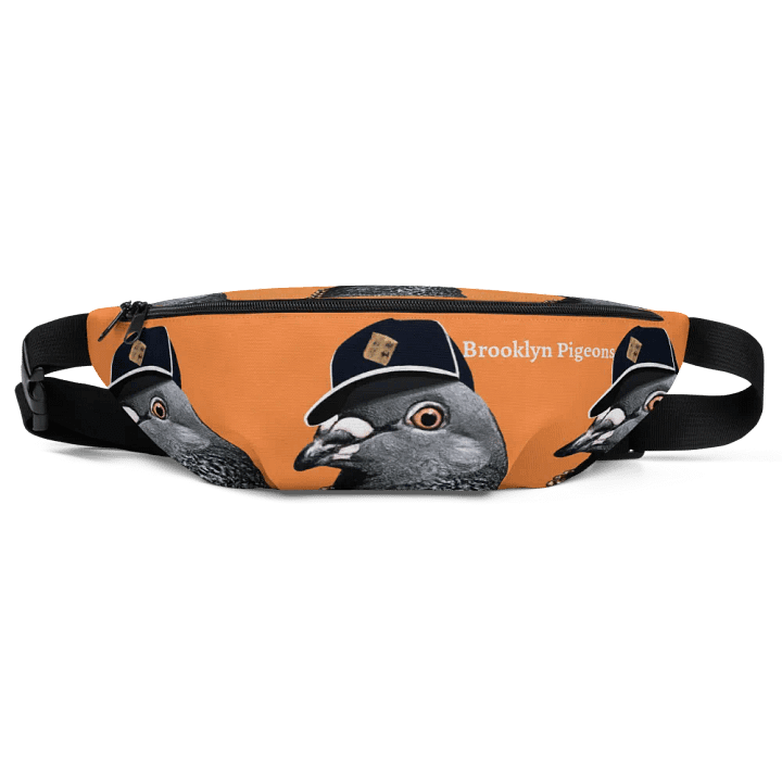 BIGGY Fanny Pack product image (1)