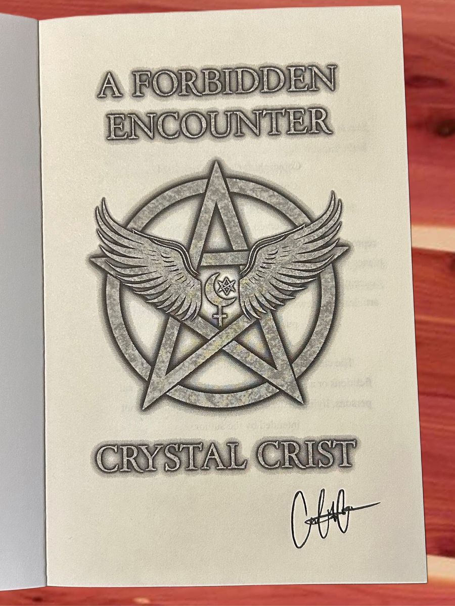A Forbidden Encounter product image (3)