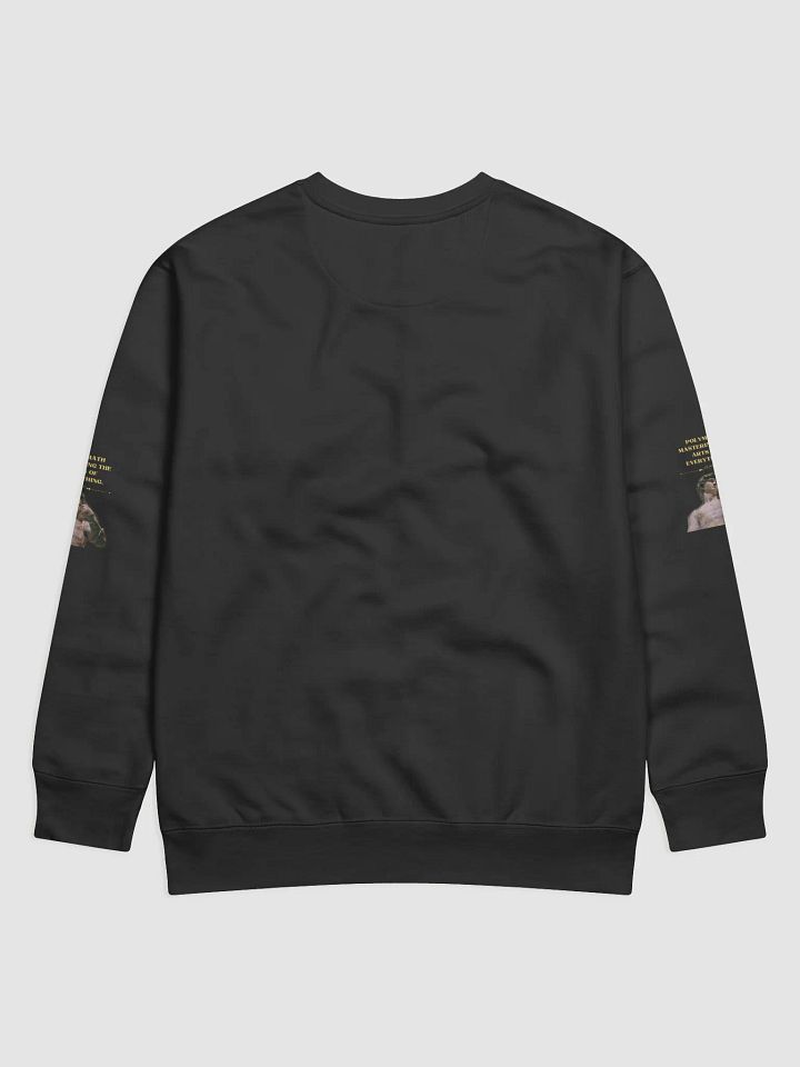POLYMATH SWEATSHIRT w S product image (2)
